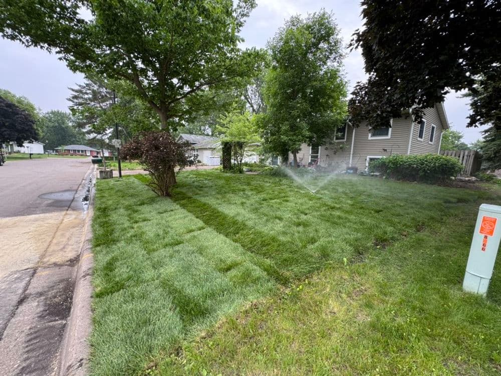 Fresh Sod Installation Transforms Lawn in Richfield MN