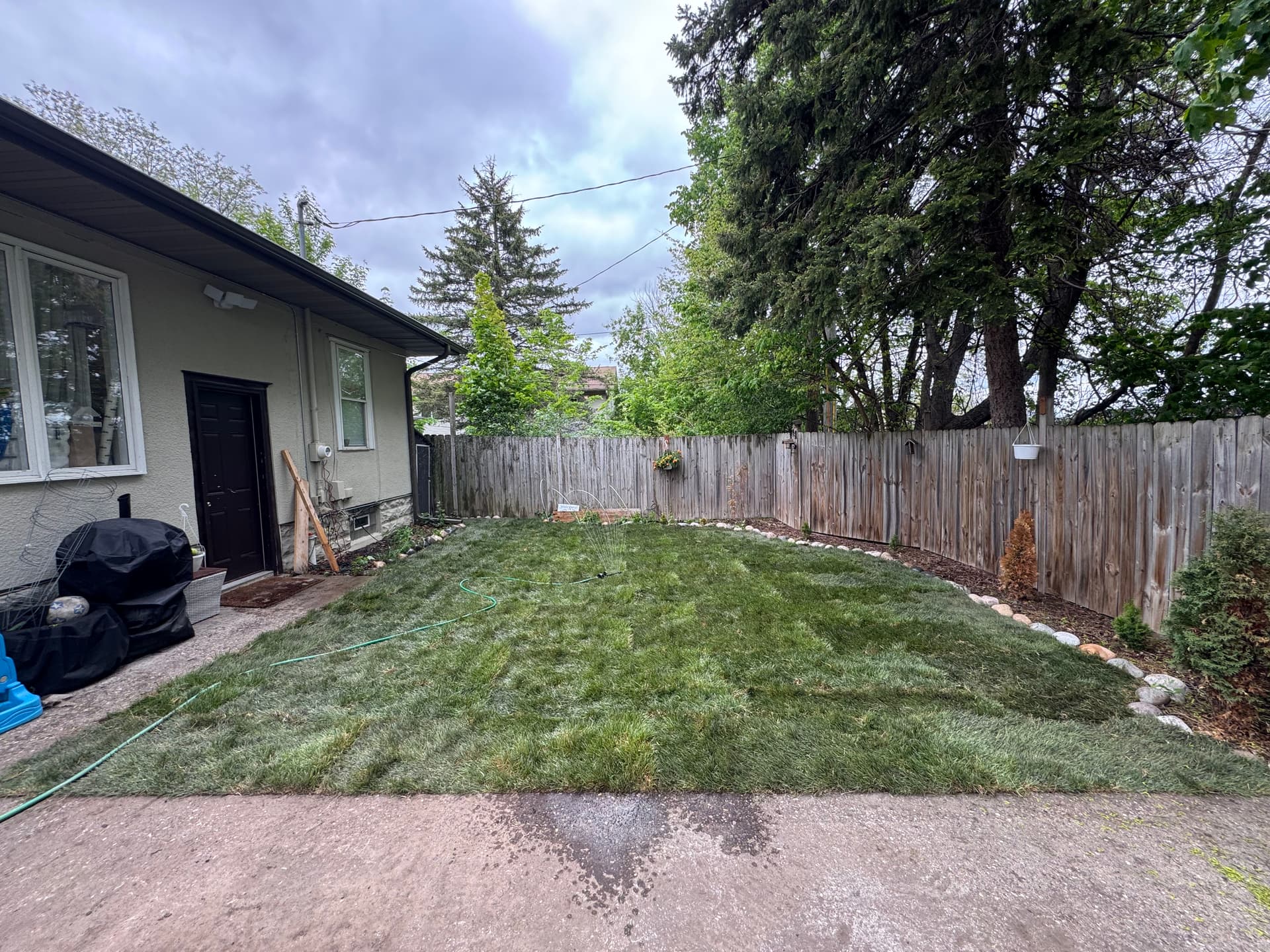 Saint Paul Backyard Gets Clean Soil and Fresh Sod image