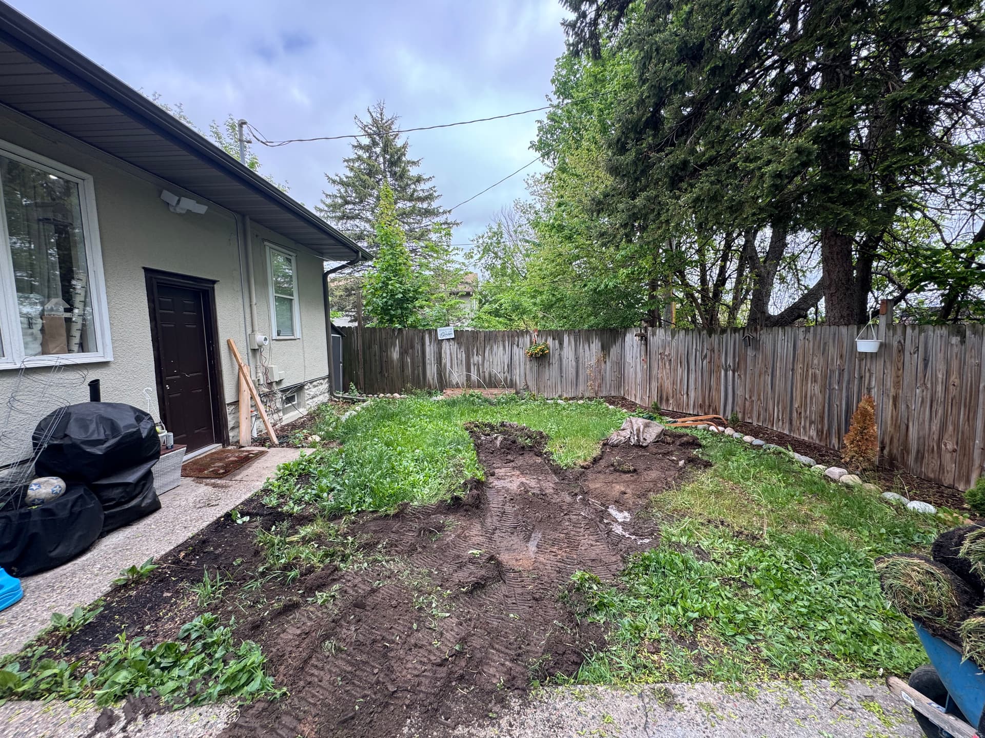 Gallery photos for Saint Paul Backyard Gets Clean Soil and Fresh Sod: Image #1